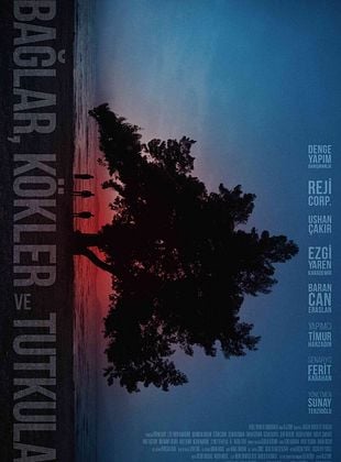 Bağlar, Kökler ve Tutkular