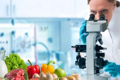 Her Yıl 600 Milyon Kişi Güvenli Olmayan Gıdalar Nedeniyle Hastalanıyor: Uzmanlardan Uluslararası Gıda Güvenliği Çağrısı